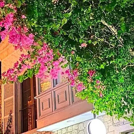 Zena Alacati Adults Only 5* Ciftlikkoyu